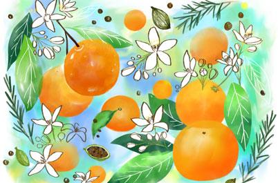 orange_flower