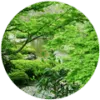 庭園