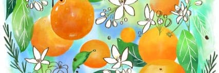 オレンジフラワー　サムネイル