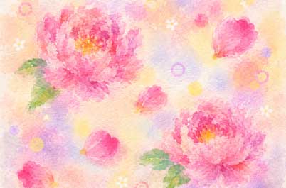 peony rose 1